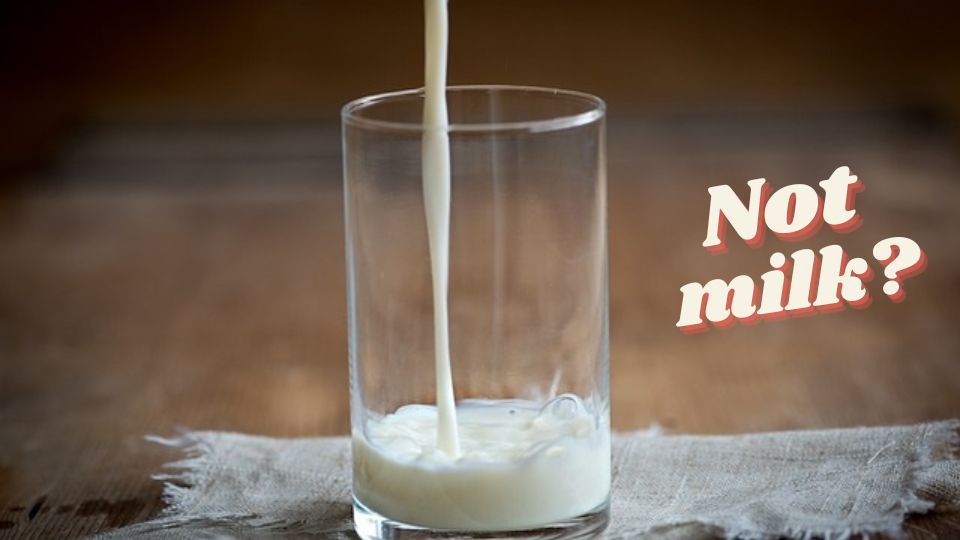5 milk alternatives for smoothies